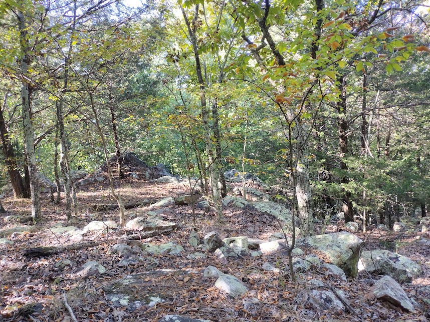 Article Proffit Mtn10