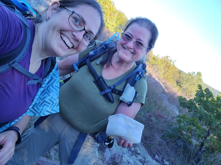 Article Proffit Mtn4