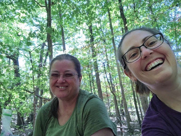 Article Proffit Mtn9 HDR