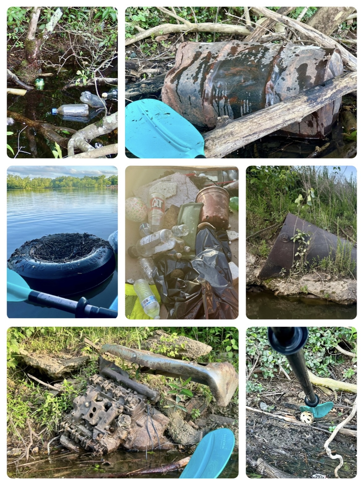 CITI Simpson lake final Trash collage