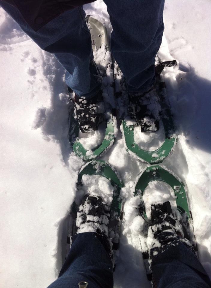 Cache in Cold Snowshoe
