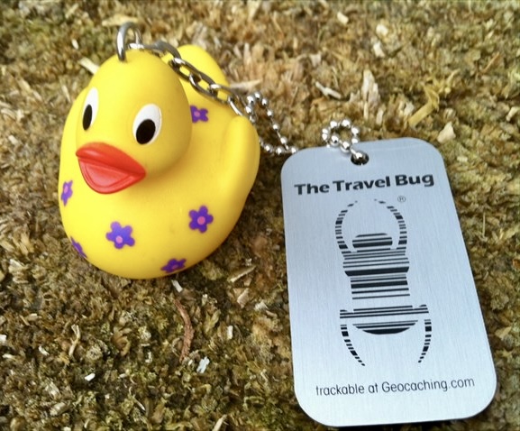 SLAGA TB race 24 duckie