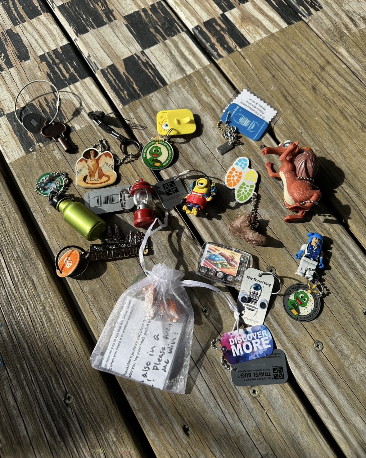 Spring picnic 2024 travel bug race trackable