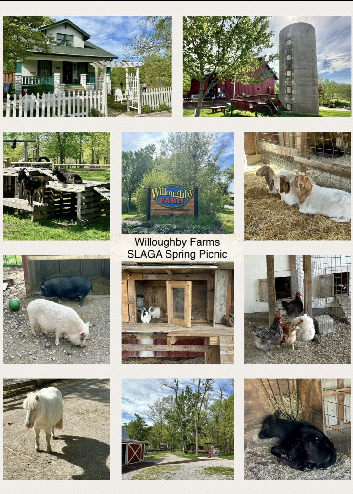 Spring picnic 2024 willoughby farms collage 