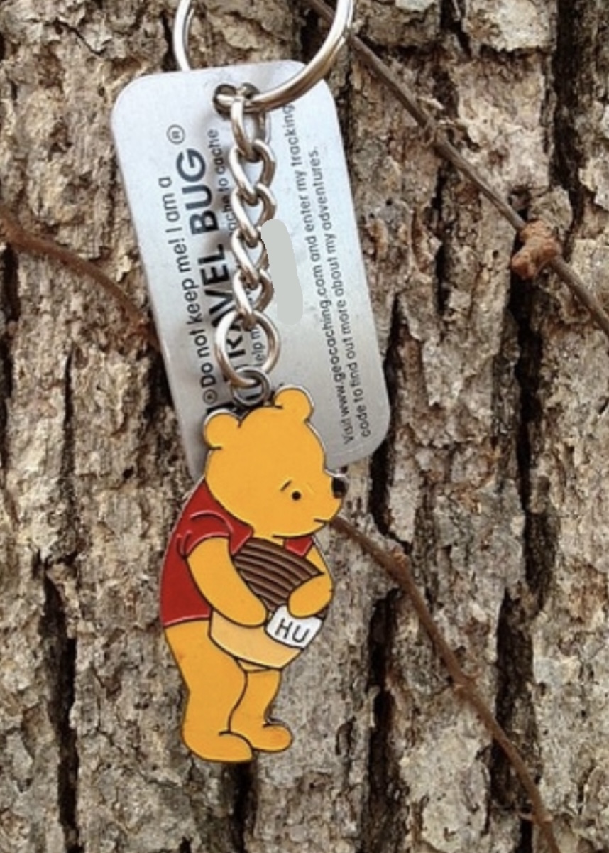 TB RACE 25 Pooh Bear