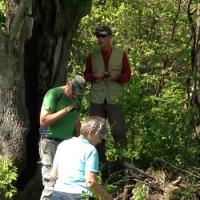 caching1